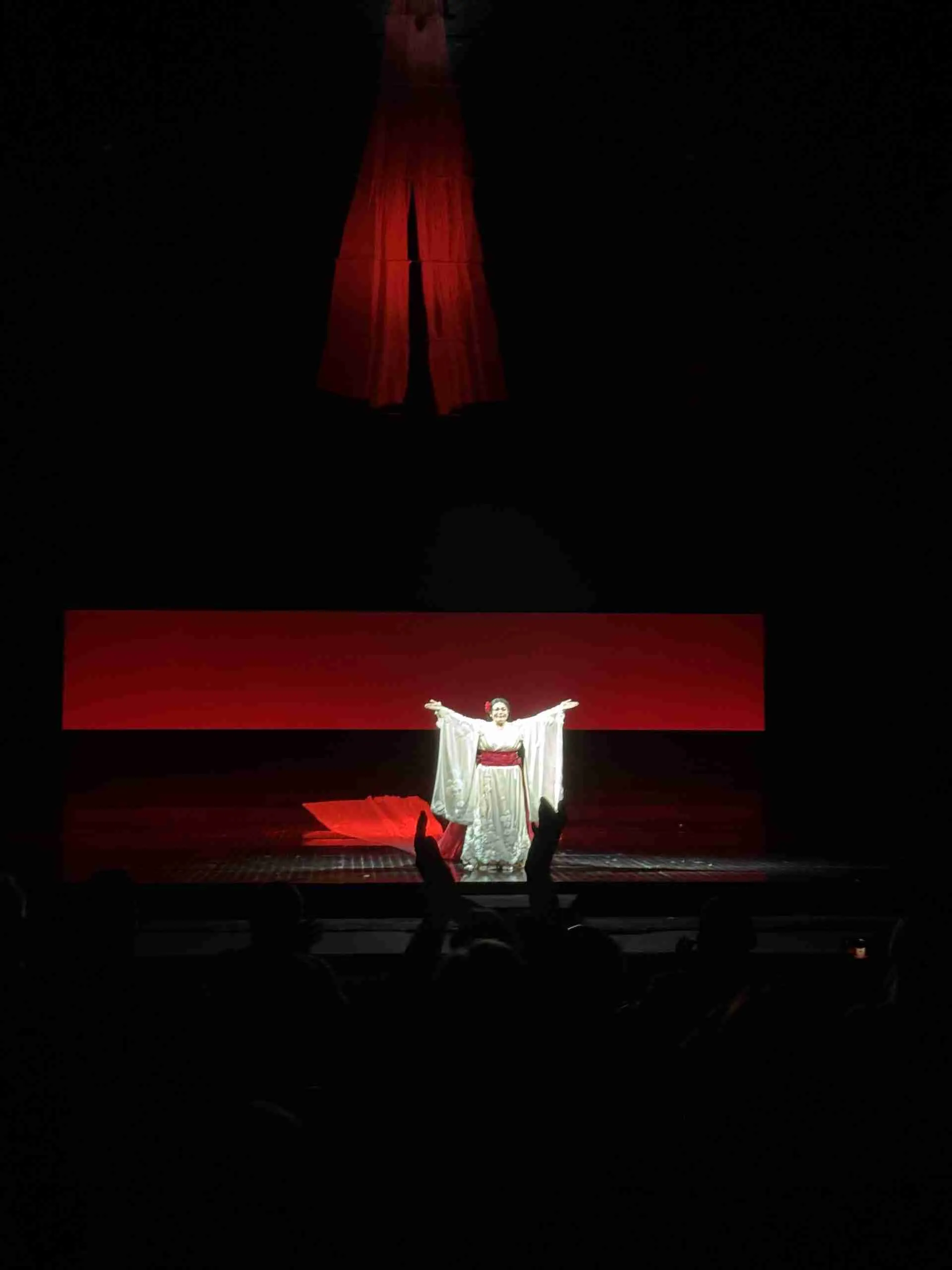 Madama Butterfly
